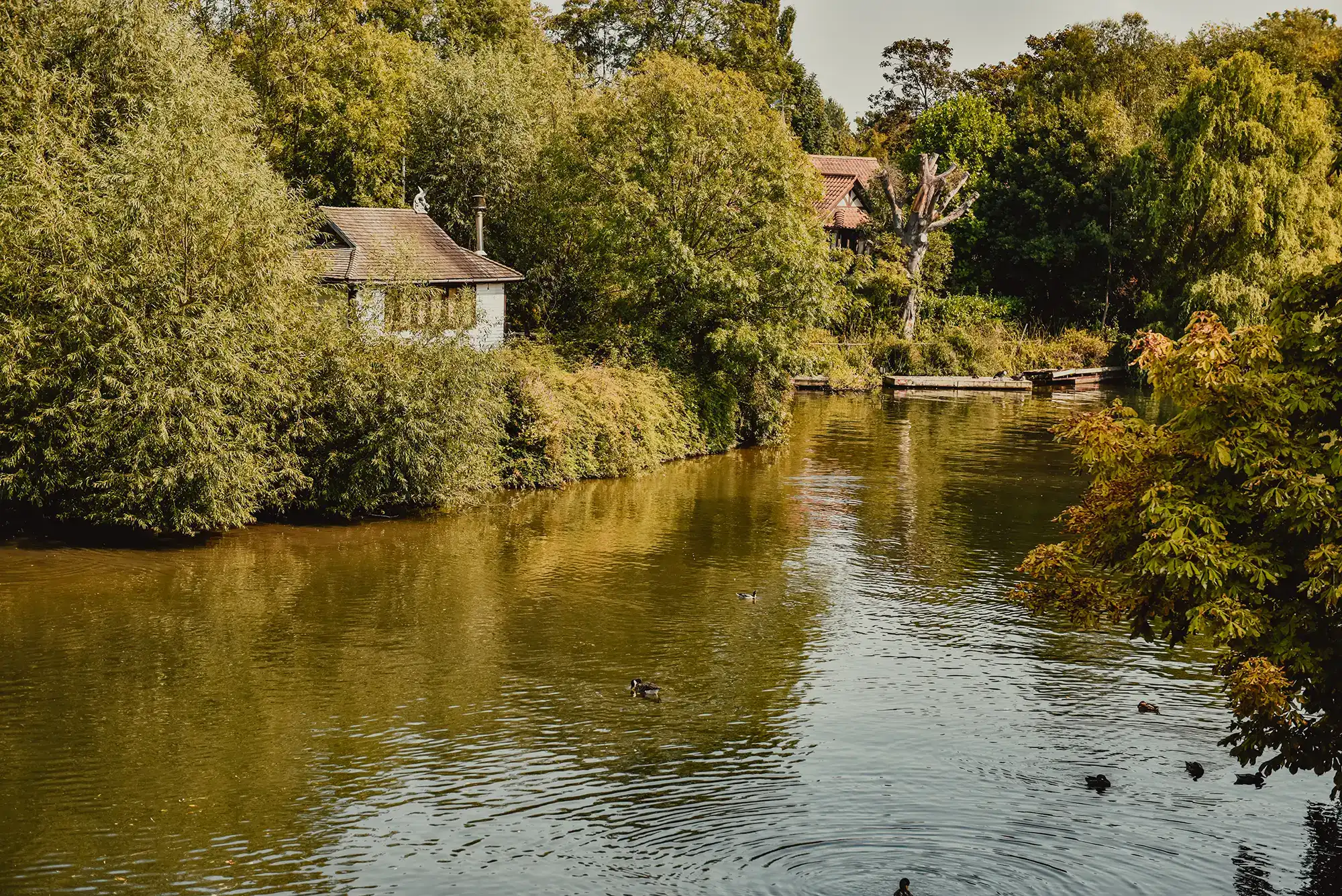 Thames Ditton