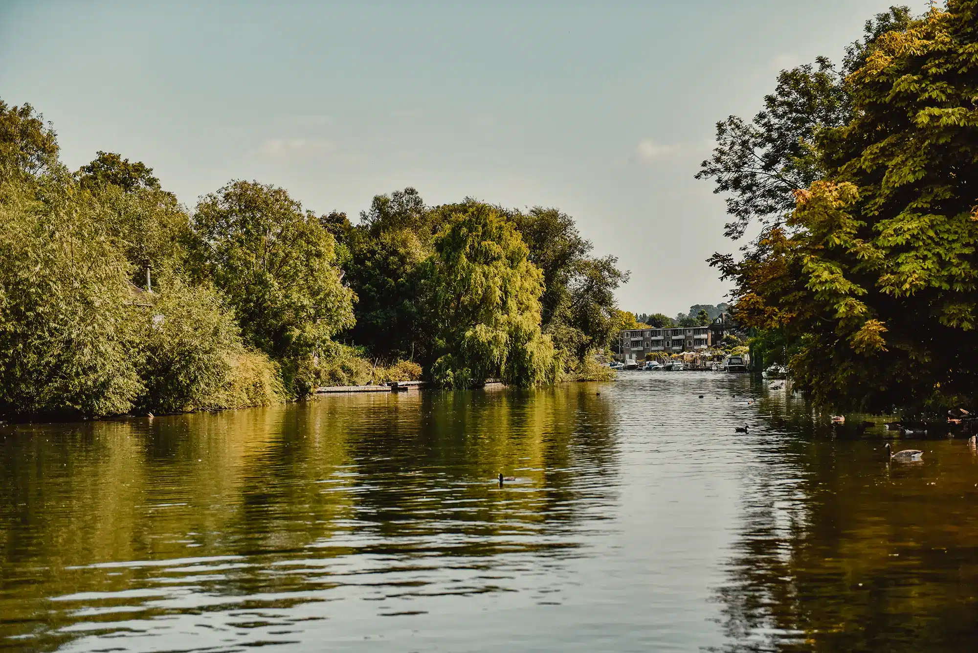 Thames Ditton