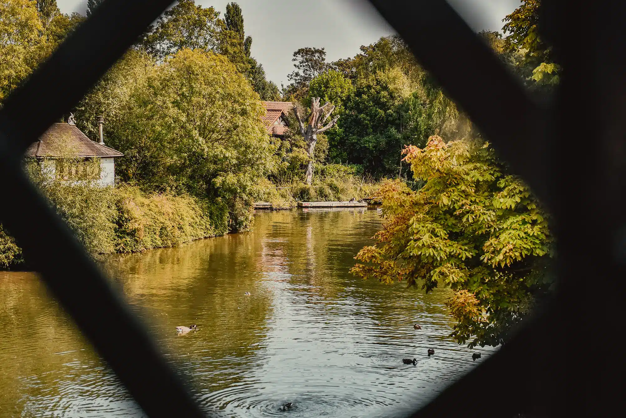 Thames Ditton