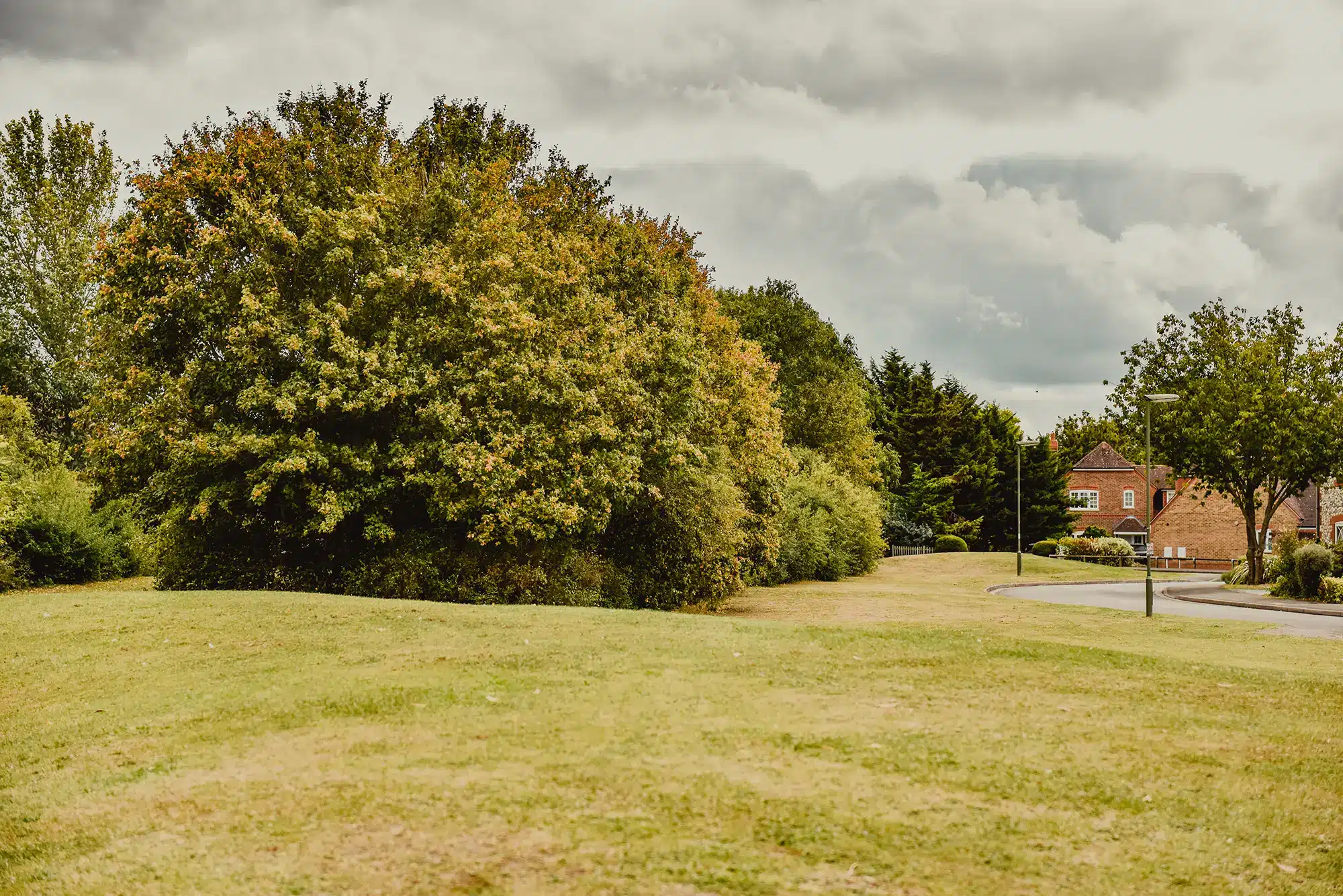 West Molesey